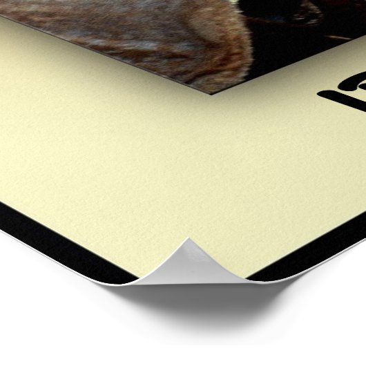 carnavalventilator poster (Hoek)