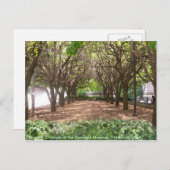 Carnegie Museum Briefkaart (Voorkant / Achterkant)