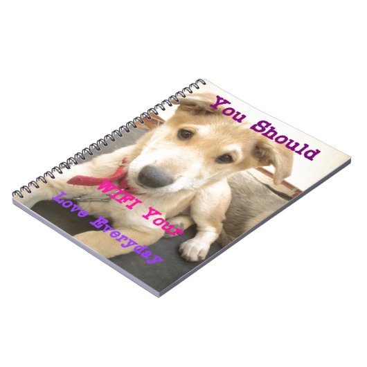 Carnet (Côté gauche)