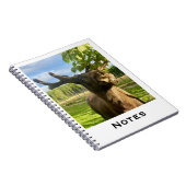 carnet (Côté Droit)