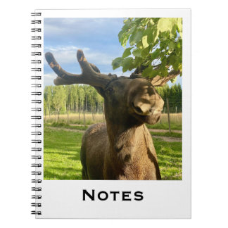carnet