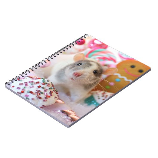 Carnet (Côté gauche)