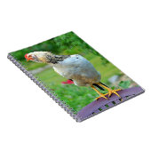 Carnet (Côté Droit)