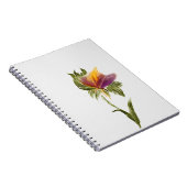 Carnet (Côté Droit)