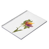 Carnet (Côté gauche)