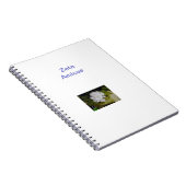 Carnet (Côté Droit)