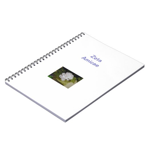 Carnet (Côté gauche)