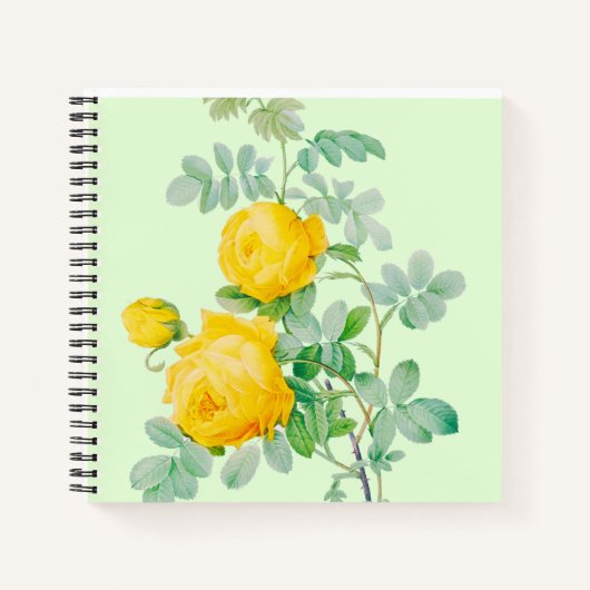 CARNET (Devant)