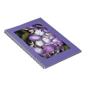 Carnet (Côté Droit)