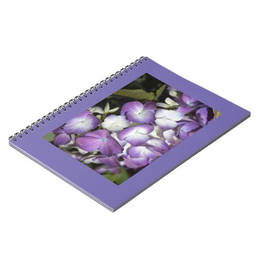 Carnet (Côté gauche)