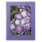 Carnet (Devant)