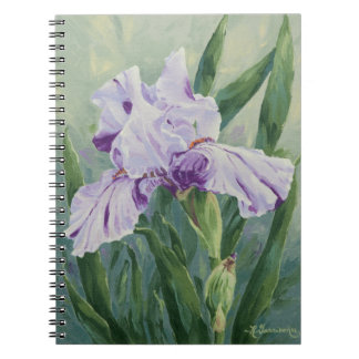 Carnet 0440 Iris pourpres