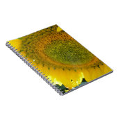 CARNET 057.JPG (Côté Droit)