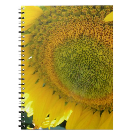CARNET 057.JPG (Devant)