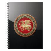 Carnet [100] Dragon islandais, Landvæ ttir [Or] (Devant)
