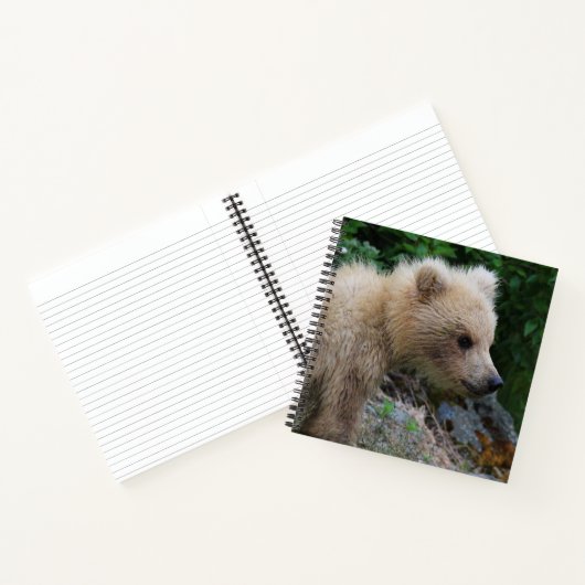 Carnet 128's Little Cub - Ordinateur portable (Intérieur)