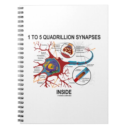 Carnet 1 To 5 Quadrillion Synapses (Devant)