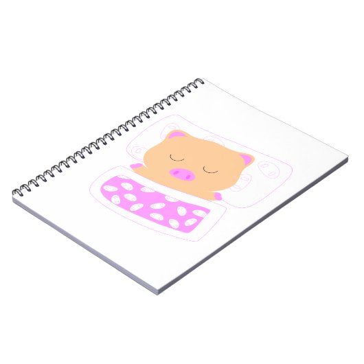 CARNET 2 (Côté gauche)