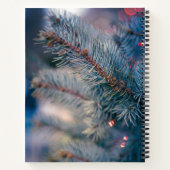 Carnet 21,6 cm x 28 cm (Dos)