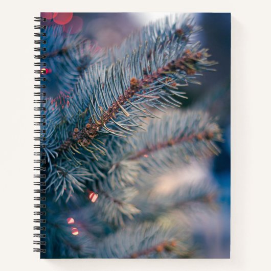 Carnet 21,6 cm x 28 cm (Devant)