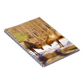 Carnet 2~ deux Bull Elk dans la neige (Côté Droit)