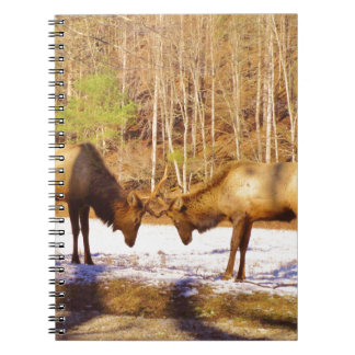 Carnet 2~ deux Bull Elk dans la neige