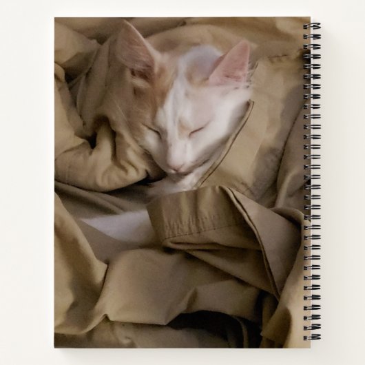 Carnet 2 Photo White Script Nom Année Moderne Puce (Dos)