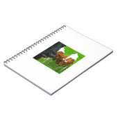 Carnet 2 veaux (Côté gauche)