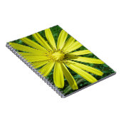 CARNET 318.JPG (Côté Droit)