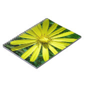 CARNET 318.JPG (Côté gauche)