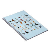 Carnet 36 races de pigeon (Côté Droit)