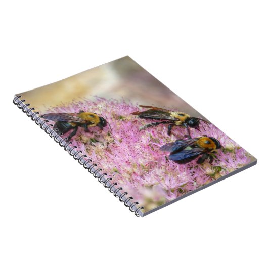 Carnet 3 bourdons (Côté Droit)