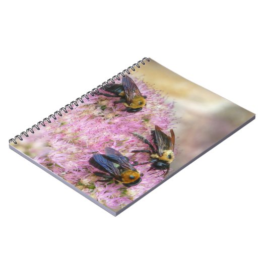 Carnet 3 bourdons (Côté gauche)