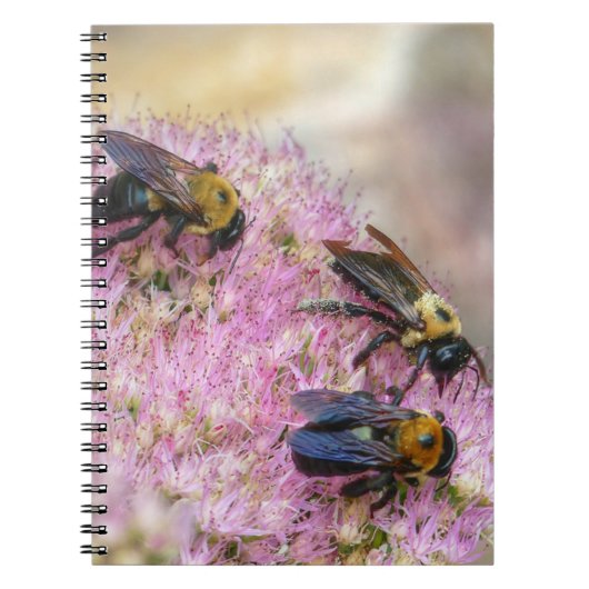 Carnet 3 bourdons (Devant)