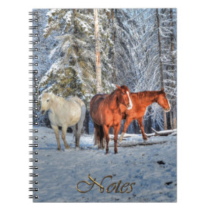 Carnet 3 Chestnut, White & Dun Ranch Horaires & Forêt de 