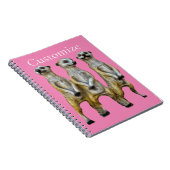 Carnet 3 Meerkats debats Thunder_Cove (Côté Droit)