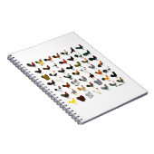 Carnet 49 Coq (Côté Droit)