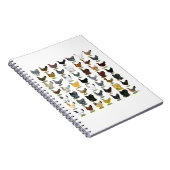 Carnet 49 poules de poulet (Côté Droit)