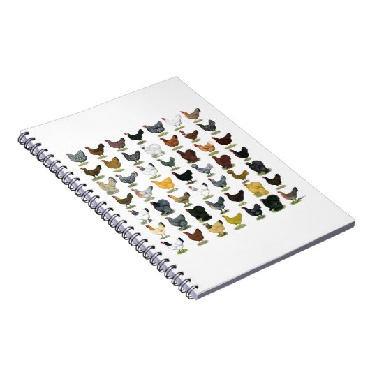 Carnet 49 poules de poulet (Côté Droit)