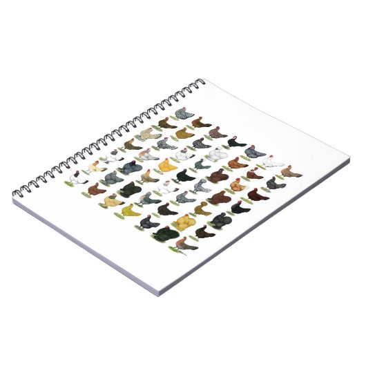 Carnet 49 poules de poulet (Côté gauche)