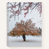 carnet 8,5 x 11 (Devant)