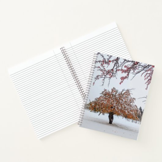 carnet 8,5 x 11 (Intérieur)