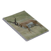 Carnet A33 Pronghorn Antelope Buck Crooked Horns (Côté Droit)