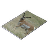 Carnet A33 Pronghorn Antelope Buck Crooked Horns (Côté gauche)