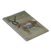 Carnet A37 Pronghorn Antelope (Côté Droit)