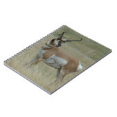 Carnet A37 Pronghorn Antelope (Côté gauche)