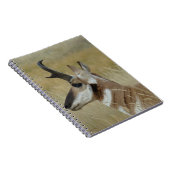Carnet A4 Pronghorn Antelope Young Buck Head Shot Profile (Côté Droit)