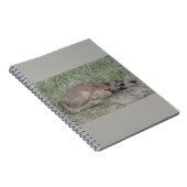 Carnet A6 Bébé Antilope Pronghorn (Côté Droit)