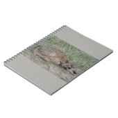 Carnet A6 Bébé Antilope Pronghorn (Côté gauche)