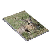 Carnet A7 Bébé Antilope Pronghorn (Côté Droit)